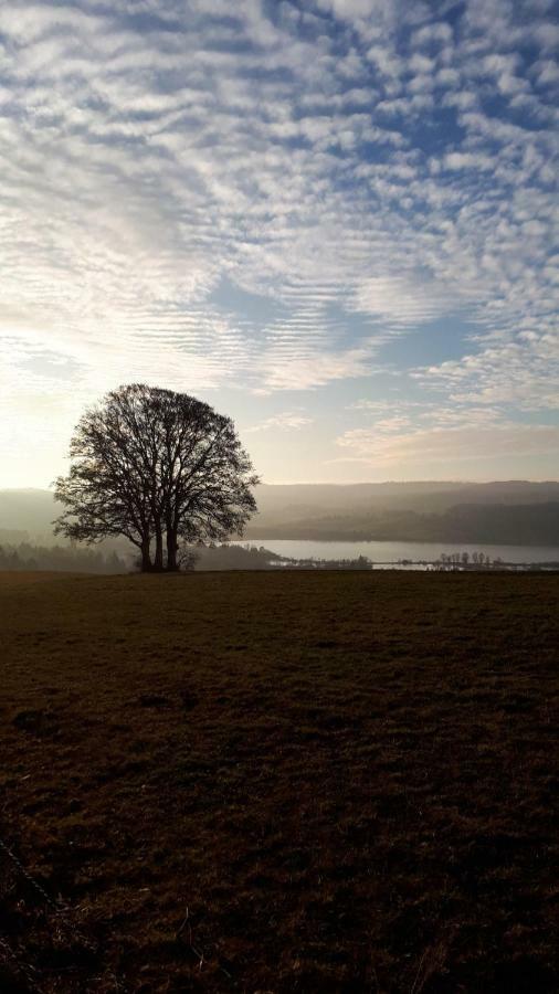 Le Charme Des 2 Lacs Malbuisson Bagian luar foto
