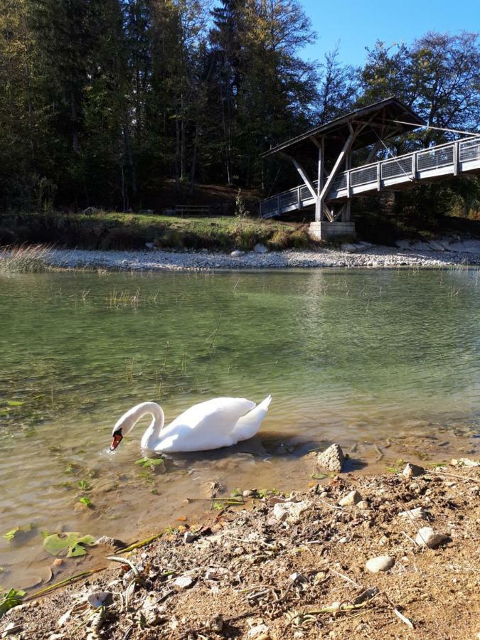 Le Charme Des 2 Lacs Malbuisson Bagian luar foto